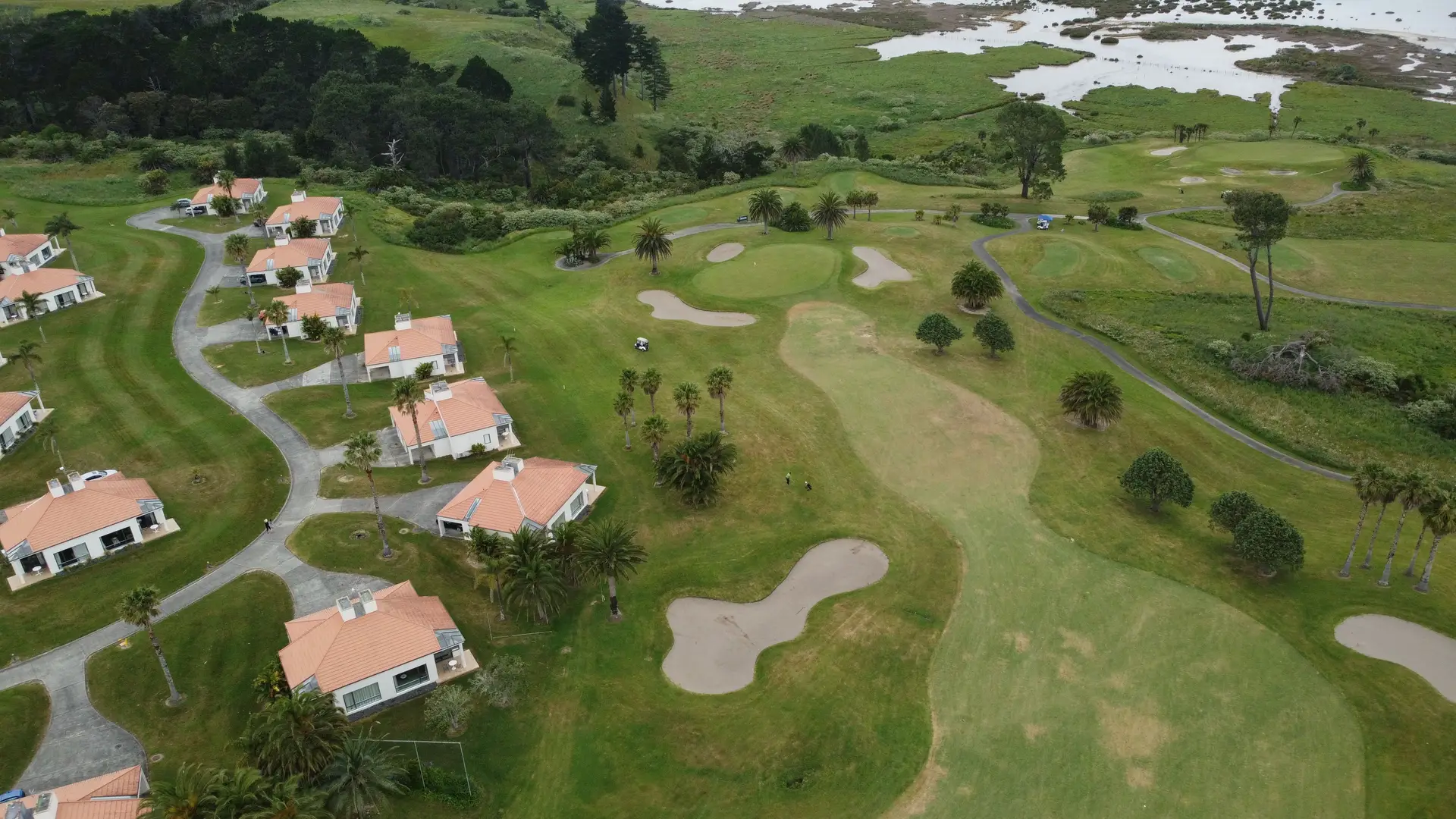 Local NZ Experiences